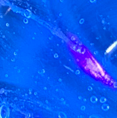 UV Blue (glowing)